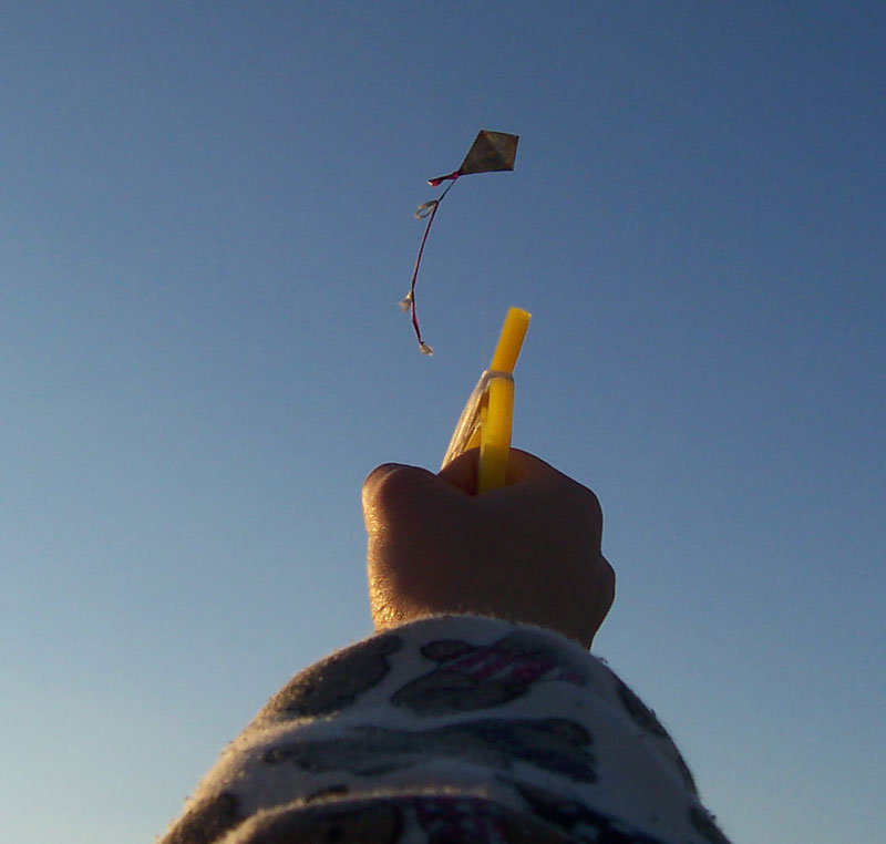 In Gaza, the Parents Are Enforcing the Kite Ban