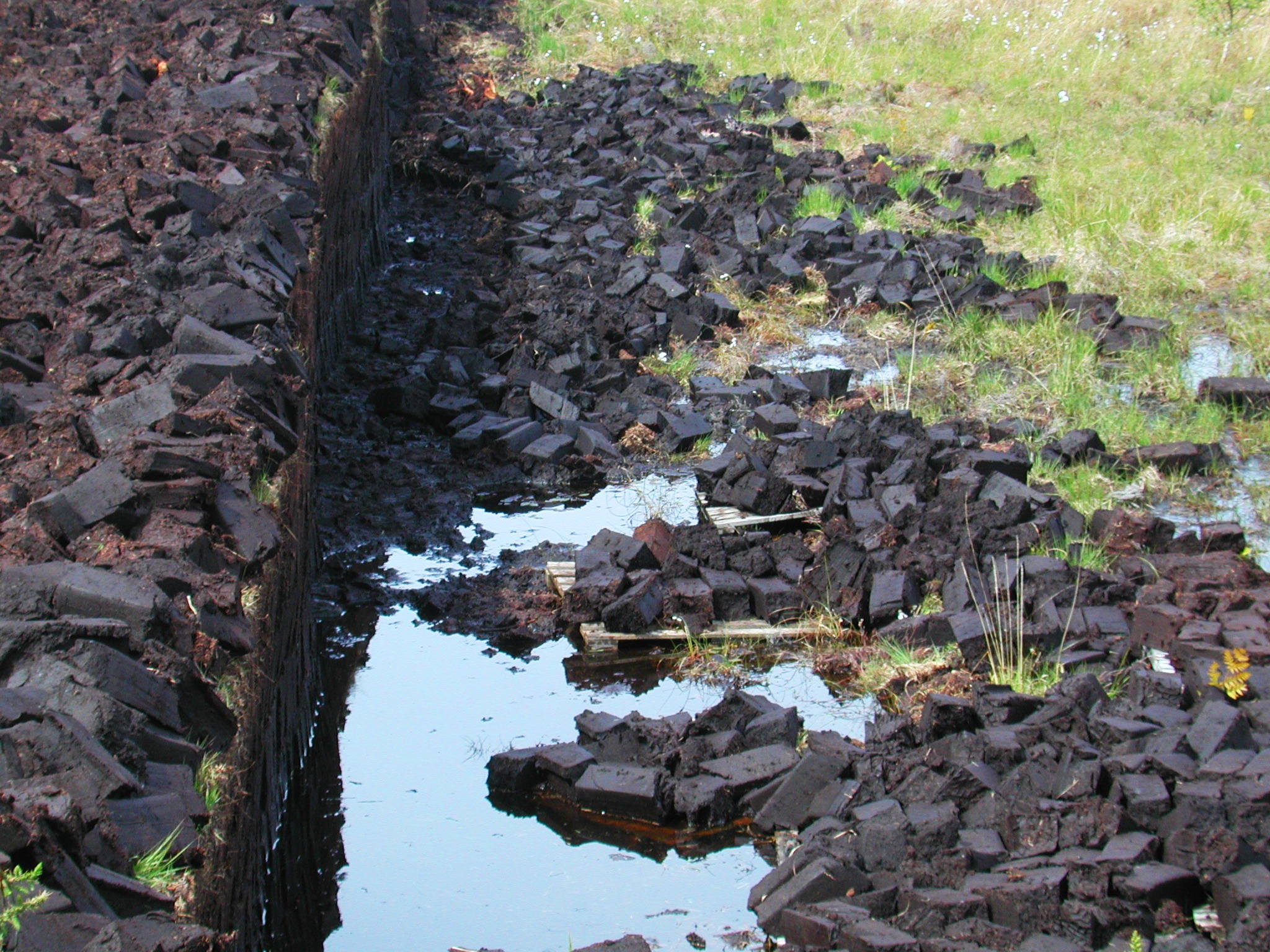 Why a Peat Fire Is Almost Impossible to Put Out