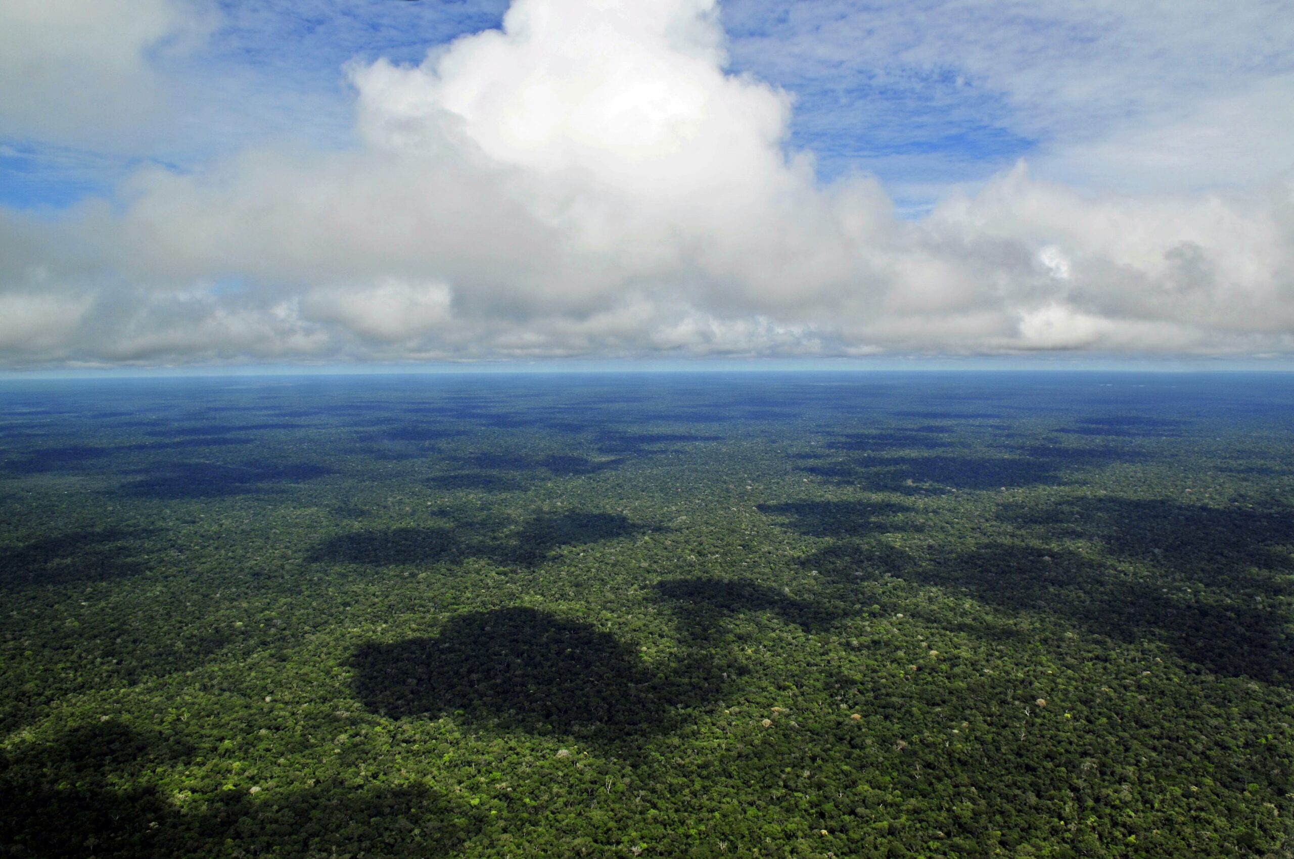 Amazon Deforestation Falls 37% — What the Number Means