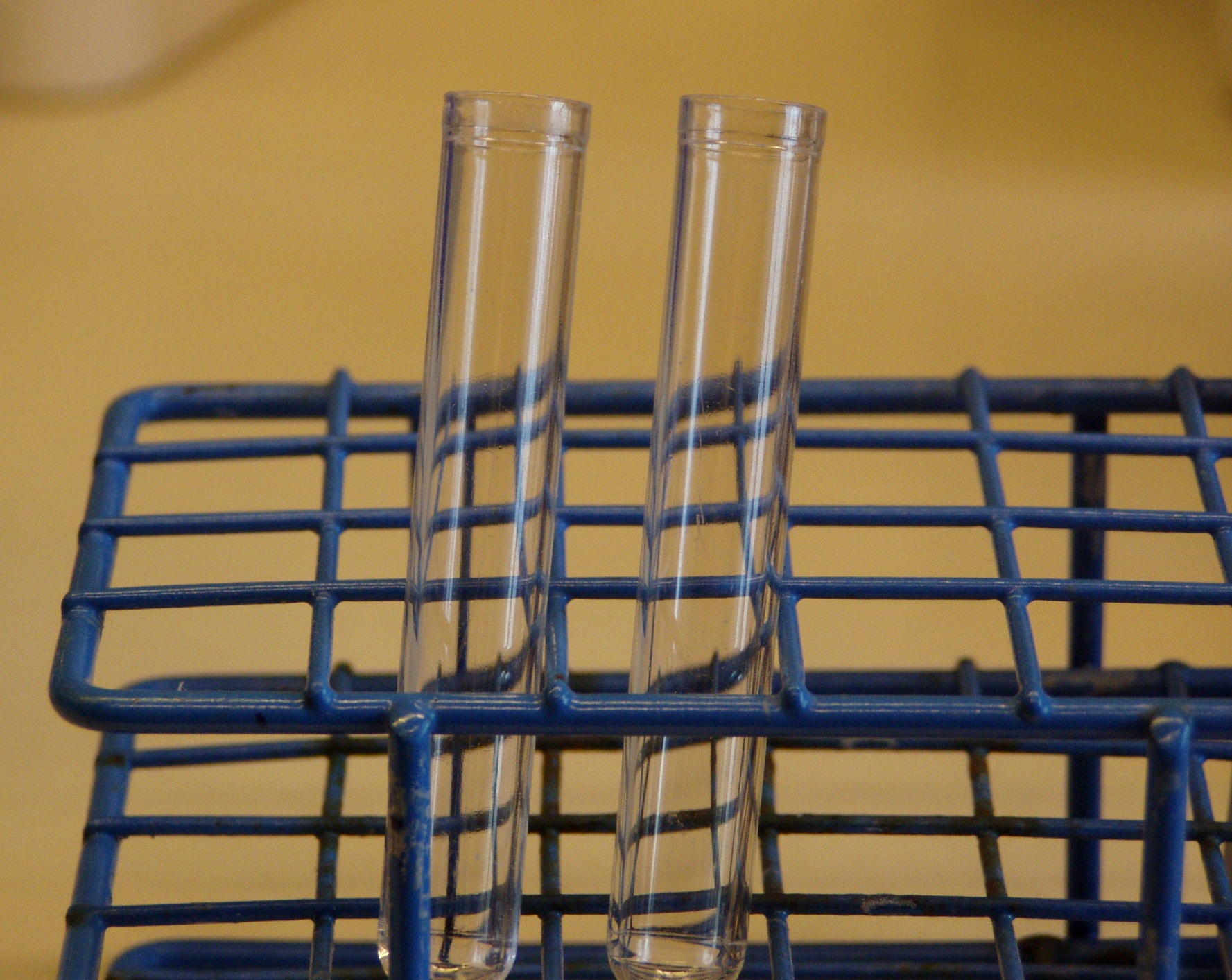 The Screening Test That Prevents the Cancer Rather Than Catching It