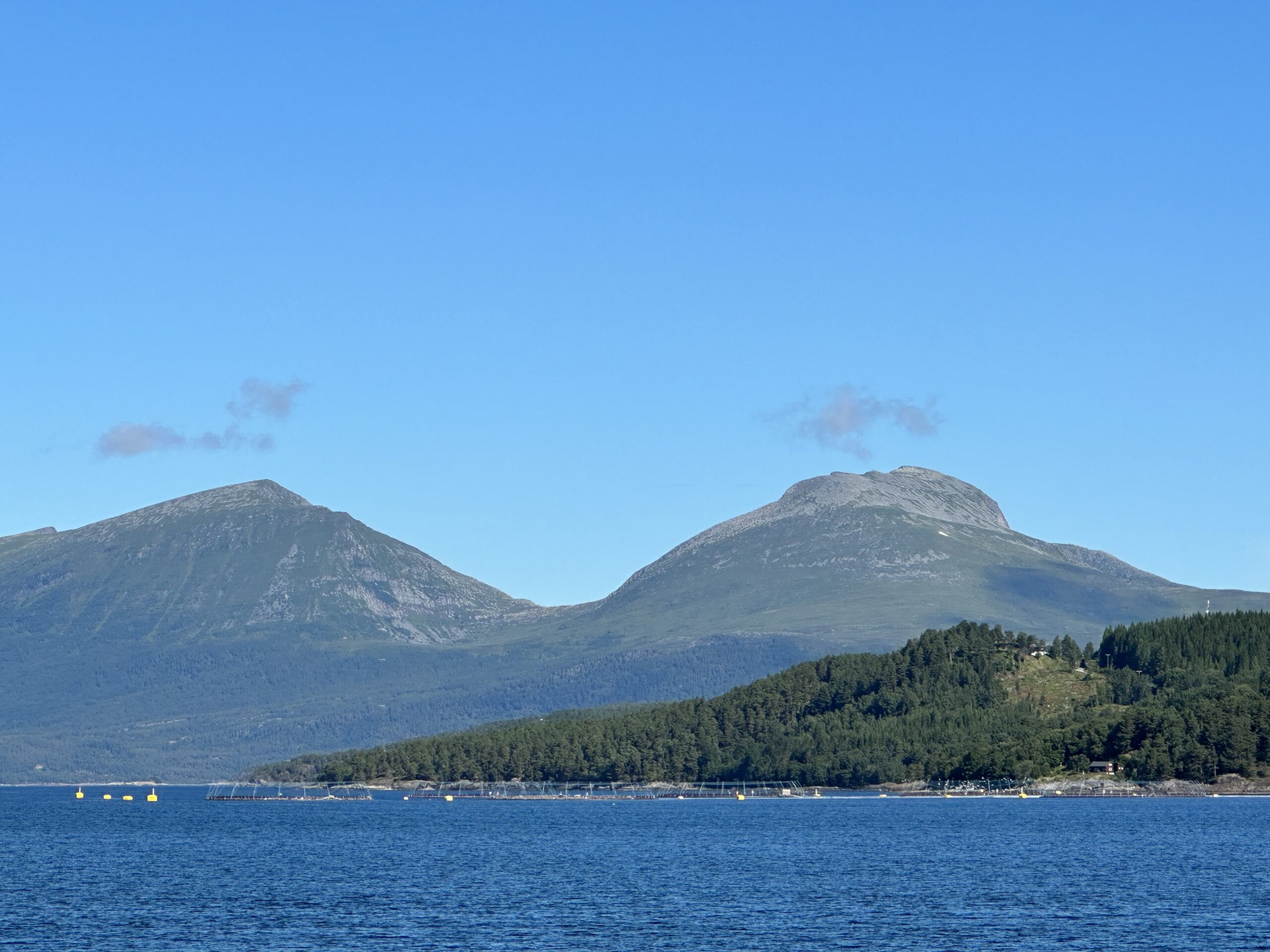 Why Norway Pays a Higher US Tariff Than the European Union