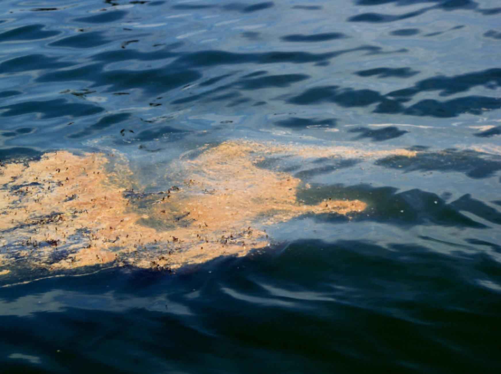 A 500-Square-Mile Oil Slick Has Reached the Coast of Oman