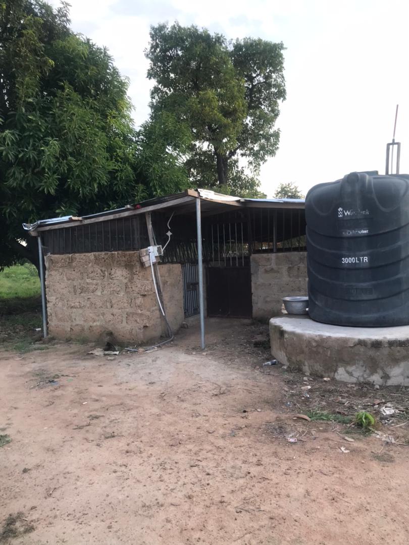 Who Gets to Decide How a Pig Is Housed