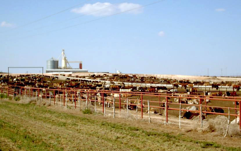 The Plant Closed on a Thursday. The Pay Runs Out on 12 October