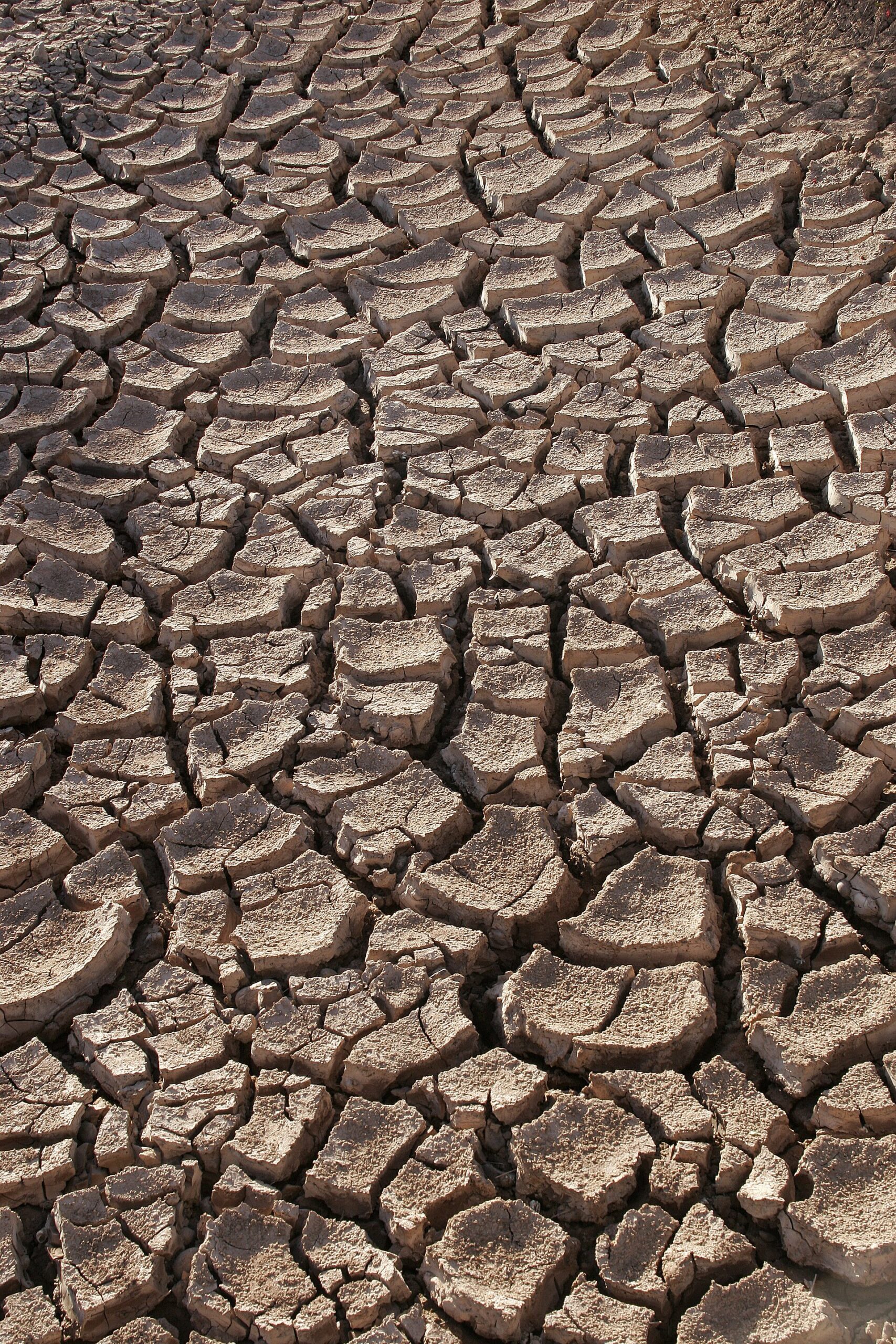 The Hottest American Summer Since Records Began