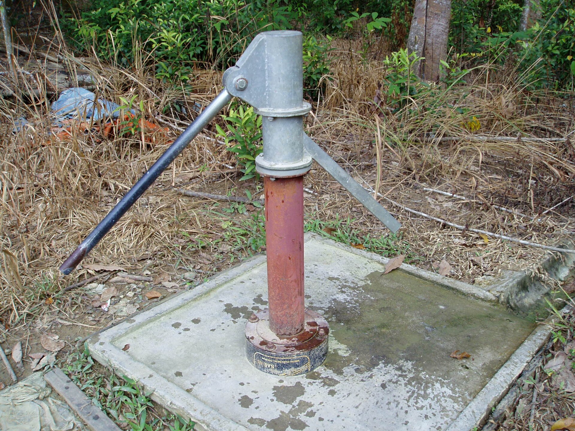 A Disease Treated With Salt and Water Has Killed 2,100 People